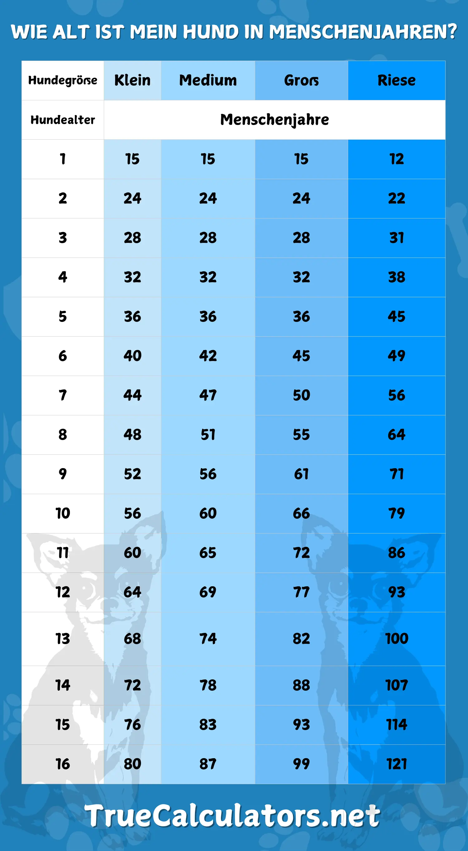 Wie alt ist mein Hund in Menschenjahren - Hundealter-Tabelle