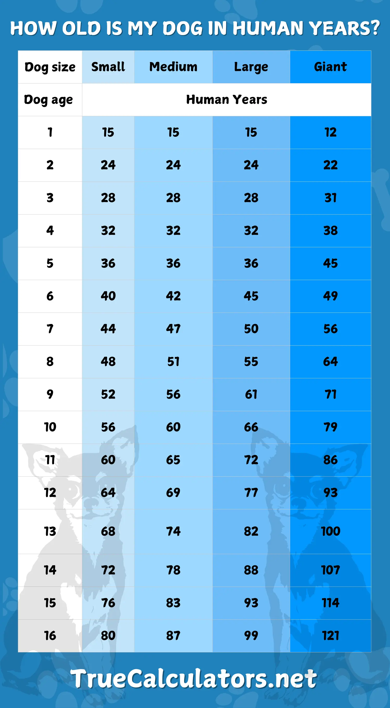 How old is my dog in human years - Dog age chart